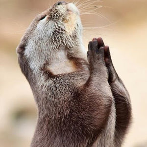 Meet your Posher, Colby